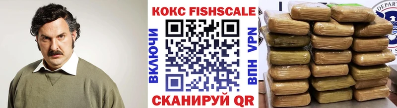 КОКАИН Fish Scale  Купить закладки  Нововоронеж 