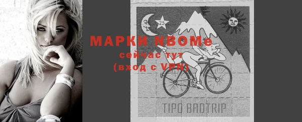 ПСИЛОЦИБИНОВЫЕ ГРИБЫ Белоозёрский