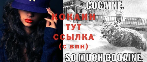 ПСИЛОЦИБИНОВЫЕ ГРИБЫ Белоозёрский