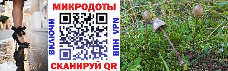 Галлюциногенные грибы мухоморы  Купить  Нововоронеж 